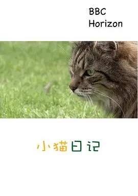 《地平线系列：小猫日记》：萌化你的心！一场猫咪视角的史诗级感官盛宴！