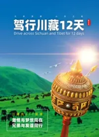 《驾行川藏12天》：一场公路片的外壳下，藏着你不敢细品的科幻隐喻